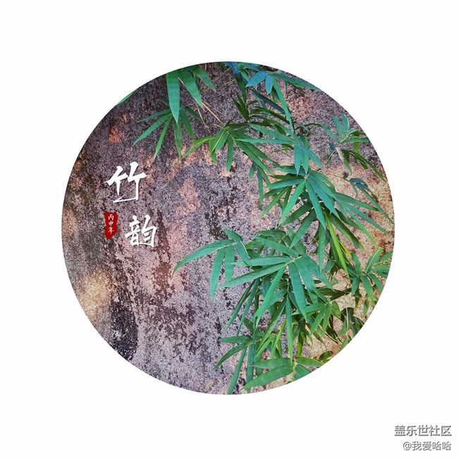 随拍几张