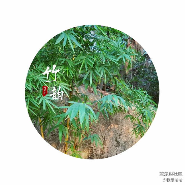 随拍几张