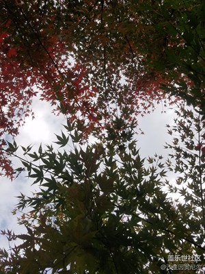 【家乡美】+镇江+江南小城