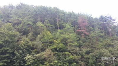 千岛湖6