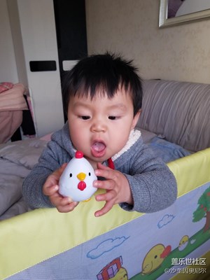 1月24日每日一图