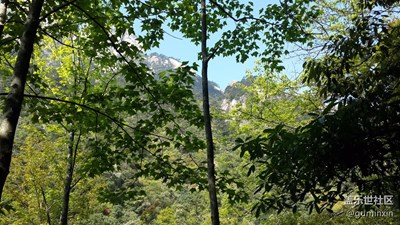 黄山1