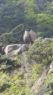 黄山3