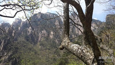 黄山4