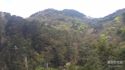 黄山10