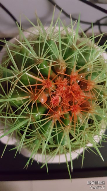 一个开了闪光灯。