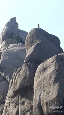 黄山15