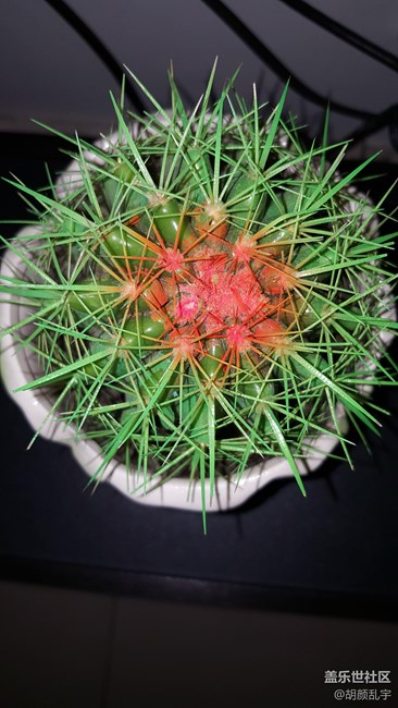 一个开了闪光灯。