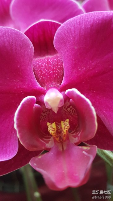 随便拍了两张，鉴赏一下