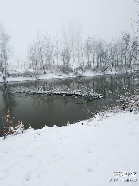 这个冬天，你们那里下雪了吗