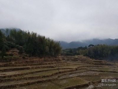 每日一图，