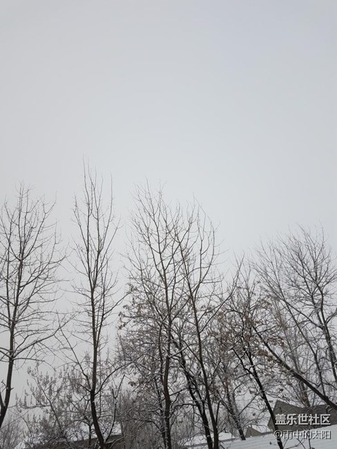 白色的雪