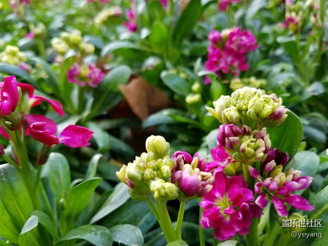 这是昨天在公园里随手拍的