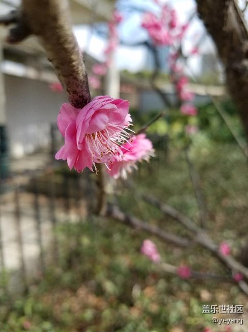 这是昨天在公园里随手拍的