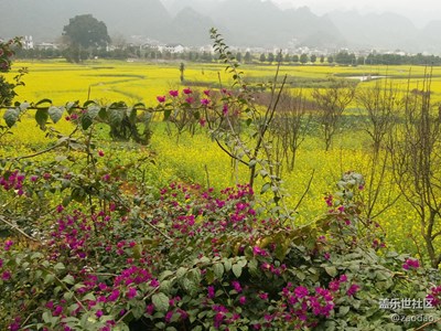 春节在贵州黔西南苗族布依族自治州兴义市万峰林