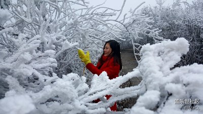 应大家的要求 我用电脑传原图吧,我的照片也贴上，哈哈哈