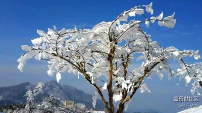 冰雪奇缘