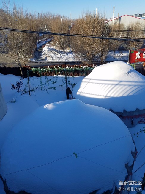 7·0雪景照片，天气原因，没任何修图
