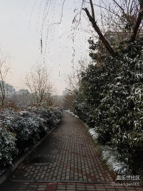 2017年的第二场雪