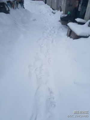 雪