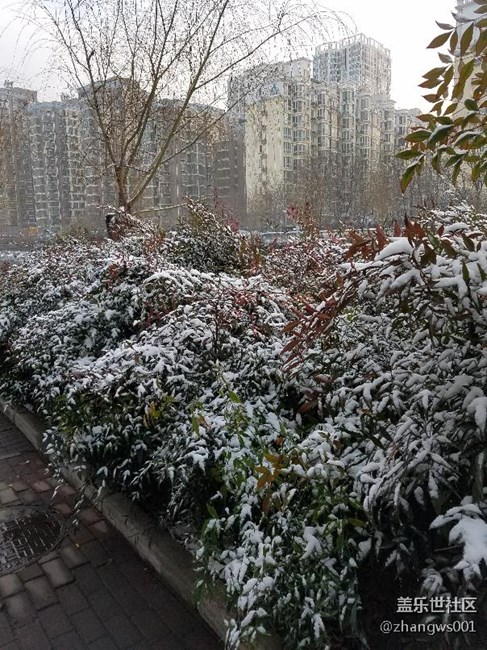 2017年的第二场雪