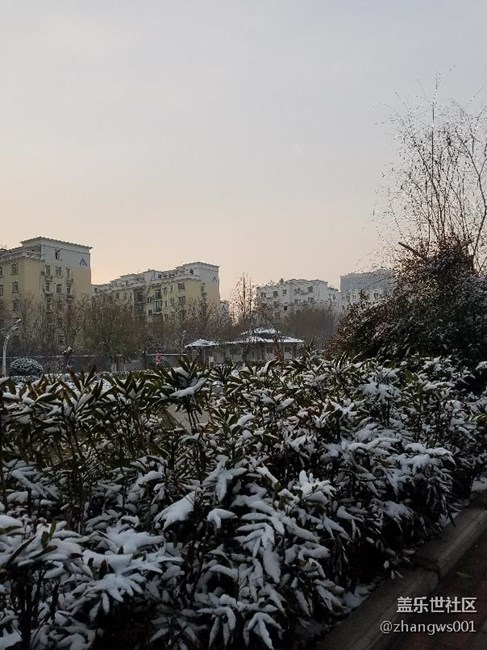 2017年的第二场雪