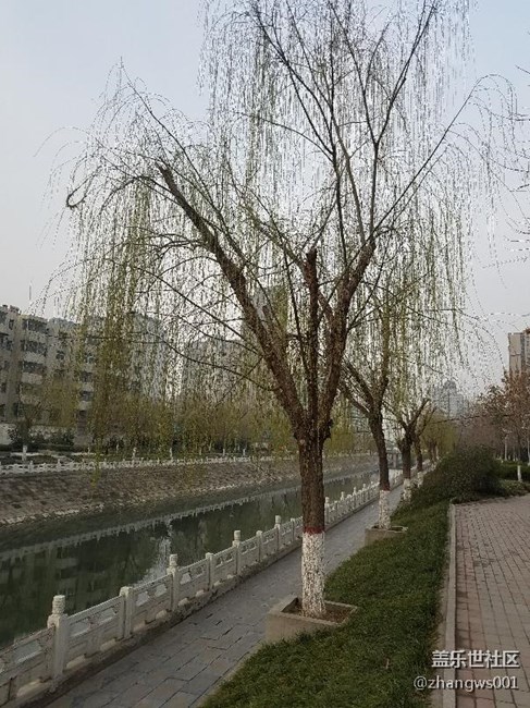 二月春风似剪刀