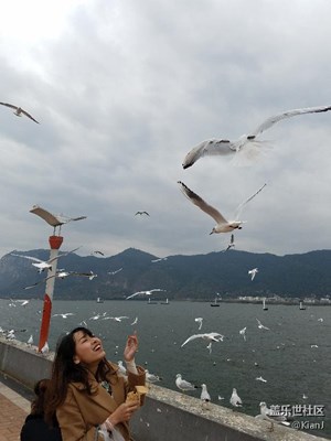 拍照很渣，而且都是随手拍的。滇池、女票、红嘴鸥
