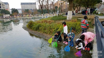 春来了+成都市+游春图