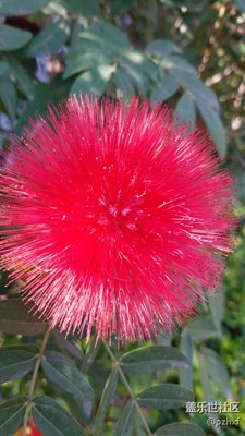 攀枝花随拍