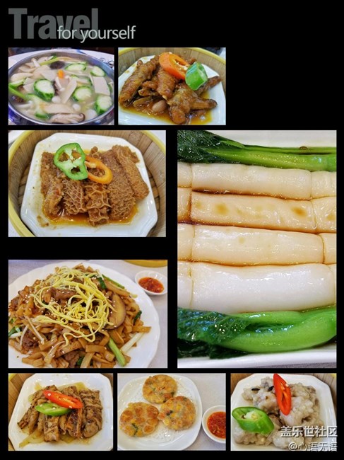 心语游深圳之春在深圳湾 心语游深圳之春在深圳湾