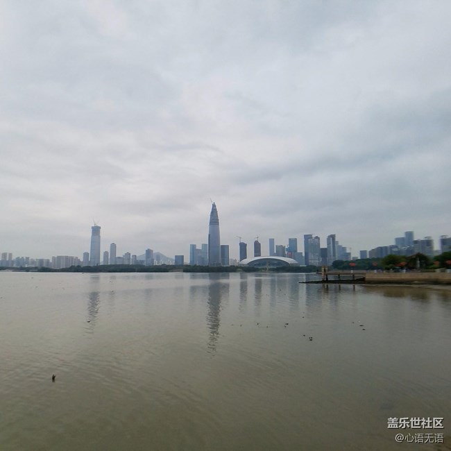 心语游深圳之春在深圳湾 心语游深圳之春在深圳湾