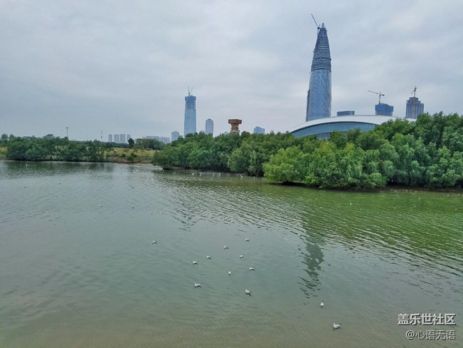 心语游深圳之春在深圳湾 心语游深圳之春在深圳湾