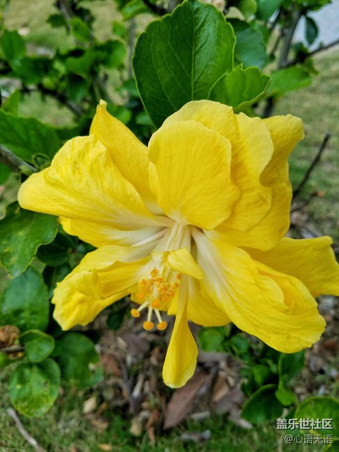 心语游深圳之春在深圳湾 心语游深圳之春在深圳湾