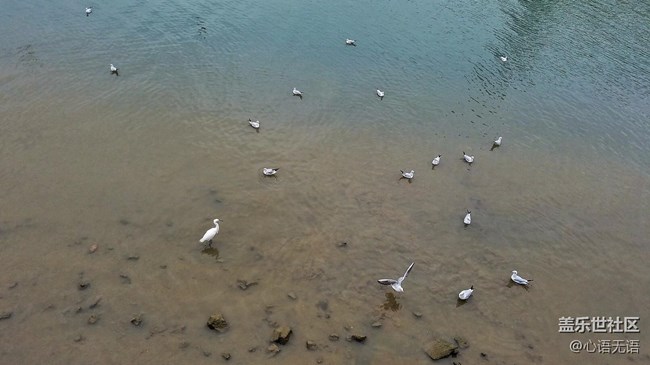 心语游深圳之春在深圳湾 心语游深圳之春在深圳湾