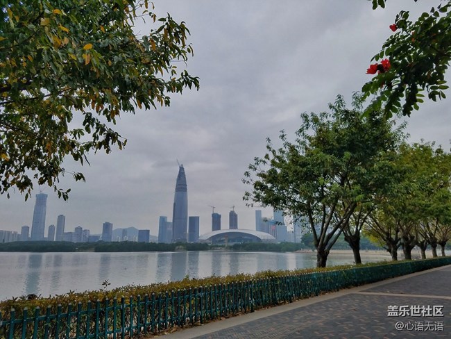 心语游深圳之春在深圳湾 心语游深圳之春在深圳湾