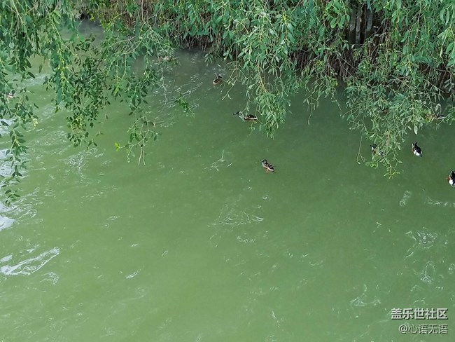 心语游深圳之春在深圳湾 心语游深圳之春在深圳湾