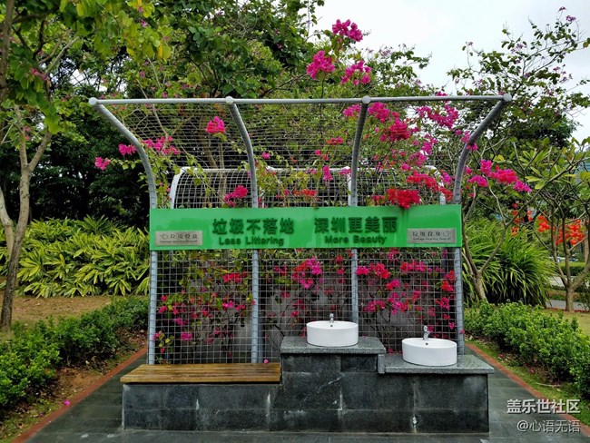 心语游深圳之春在深圳湾 心语游深圳之春在深圳湾