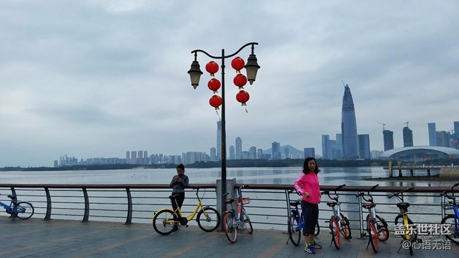 心语游深圳之春在深圳湾 心语游深圳之春在深圳湾