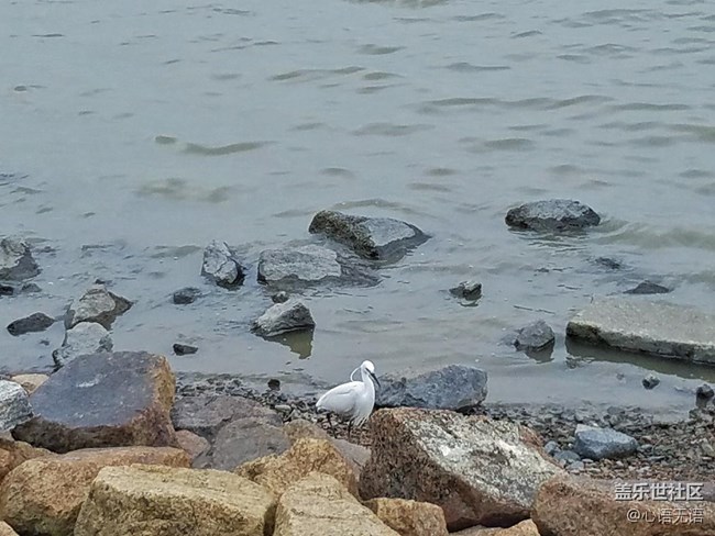 心语游深圳之春在深圳湾 心语游深圳之春在深圳湾