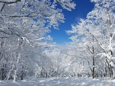 雪