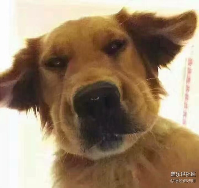 今天还有车吗？