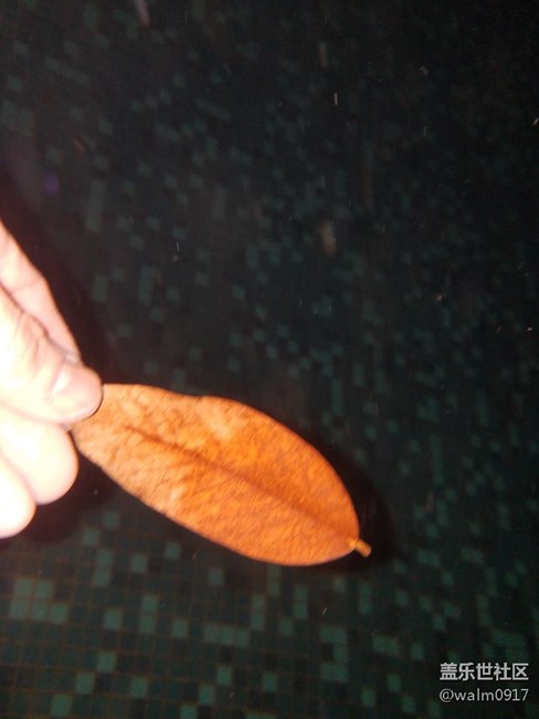 大防水还真心是给力