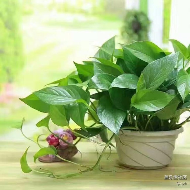 淡然