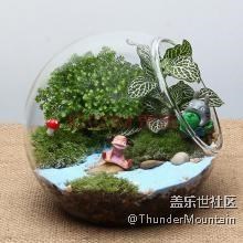 盖乐世星工场 广州星部落丨 植树节，我们走！