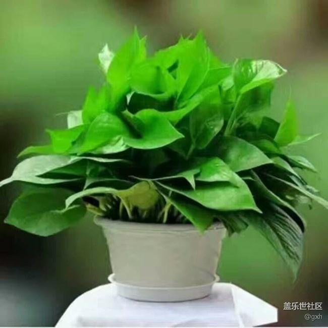 淡然