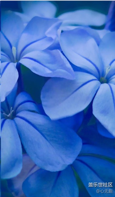 升级7.0后再现N7就有的壁纸啦！