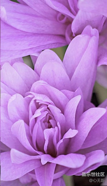 升级7.0后再现N7就有的壁纸啦！