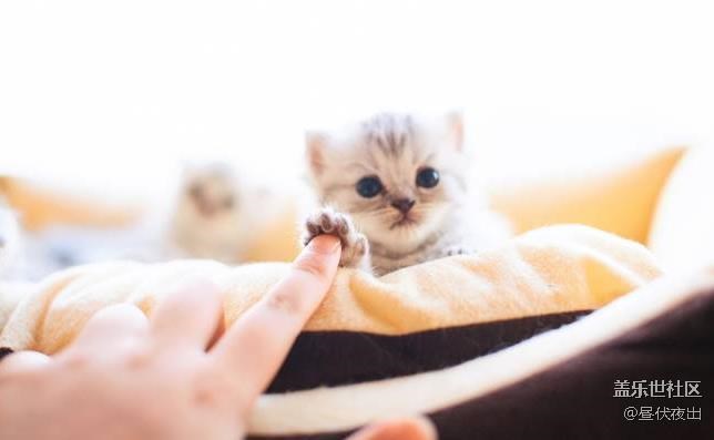 【3月第二周话题】晒晒你认为手机里最有爱的一张照片