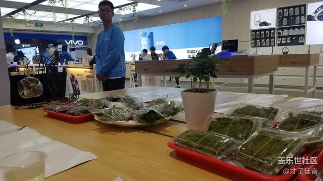 植树节活动回顾